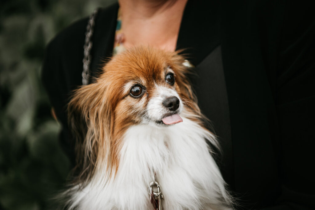 dokumentaarinen häävalokuvaus hääkuvaus petteri mäntysaari turku