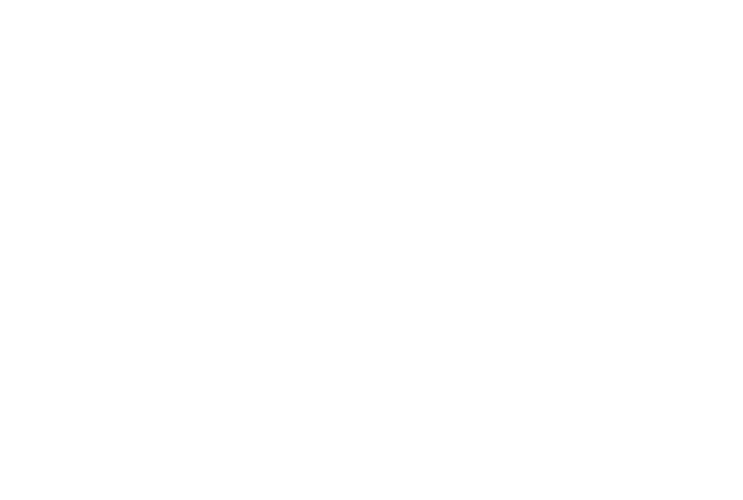 petteri-mantysaari-logo